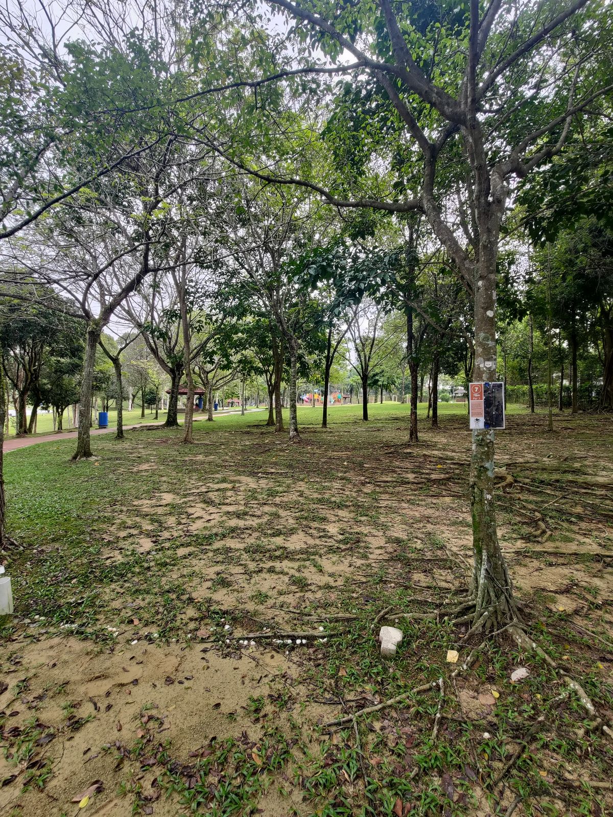 Hole 7 tee off area