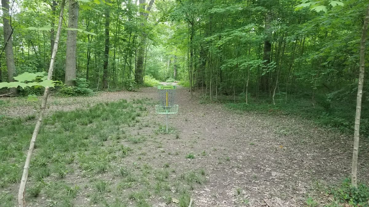 From the short position looking back