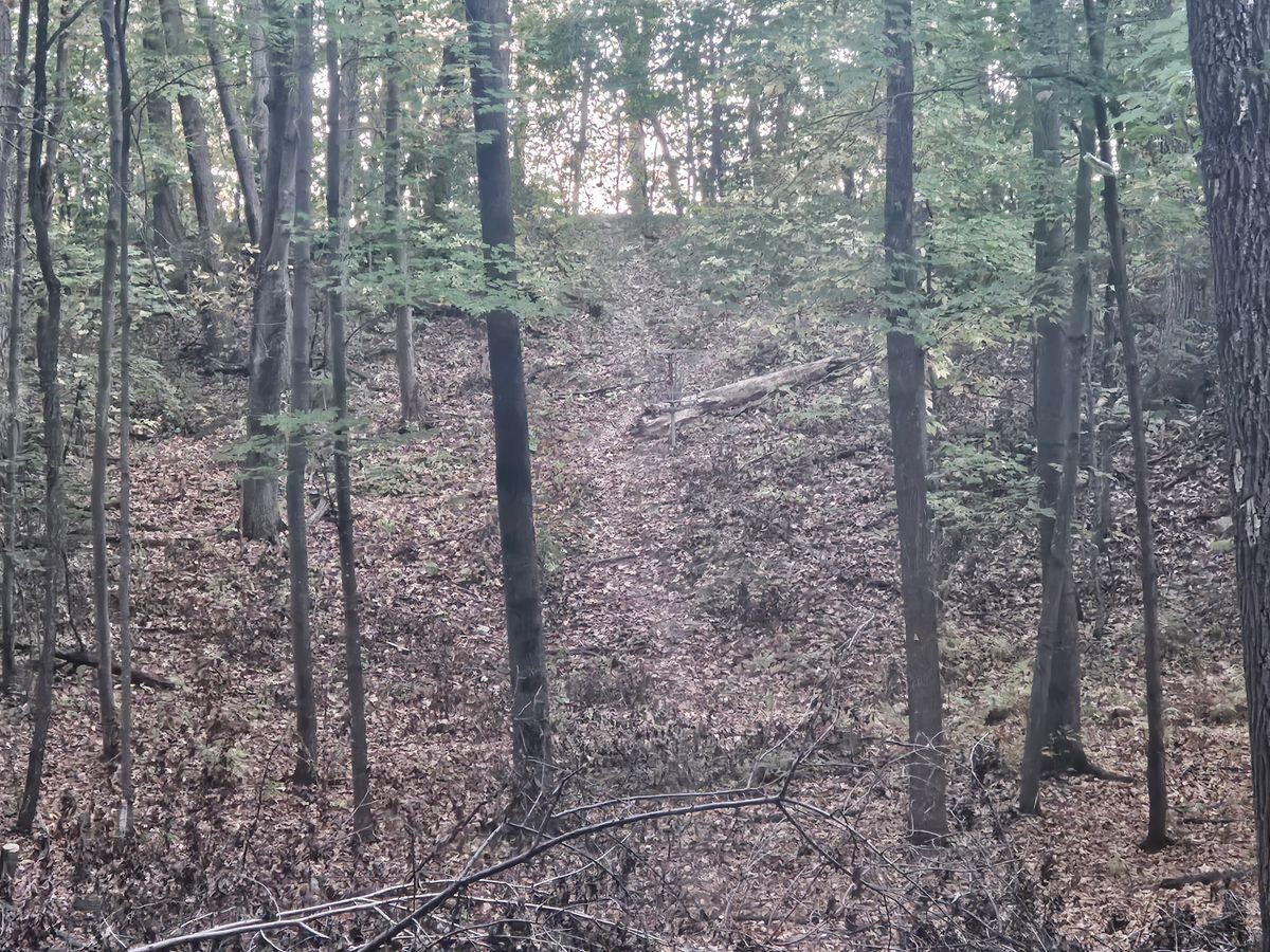 Hole 12 basket