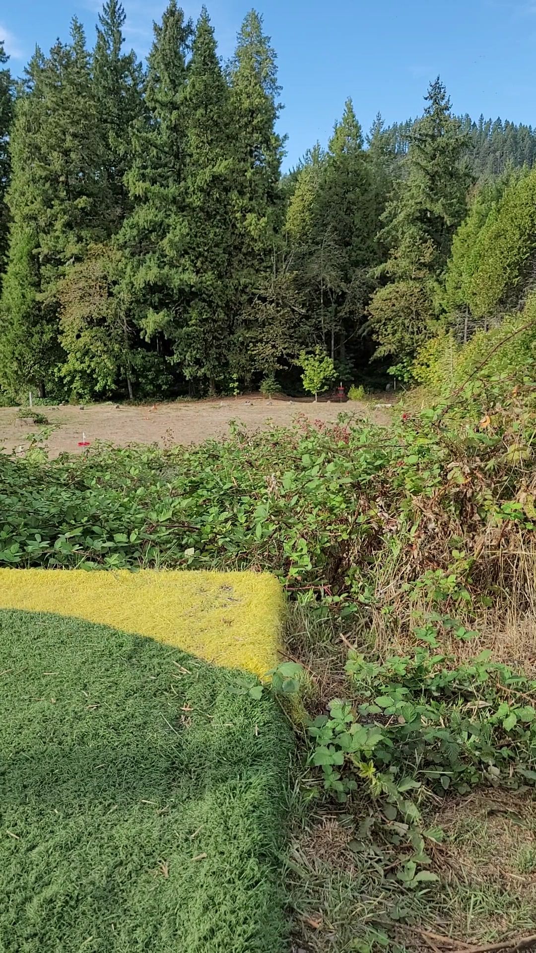 Hole 13