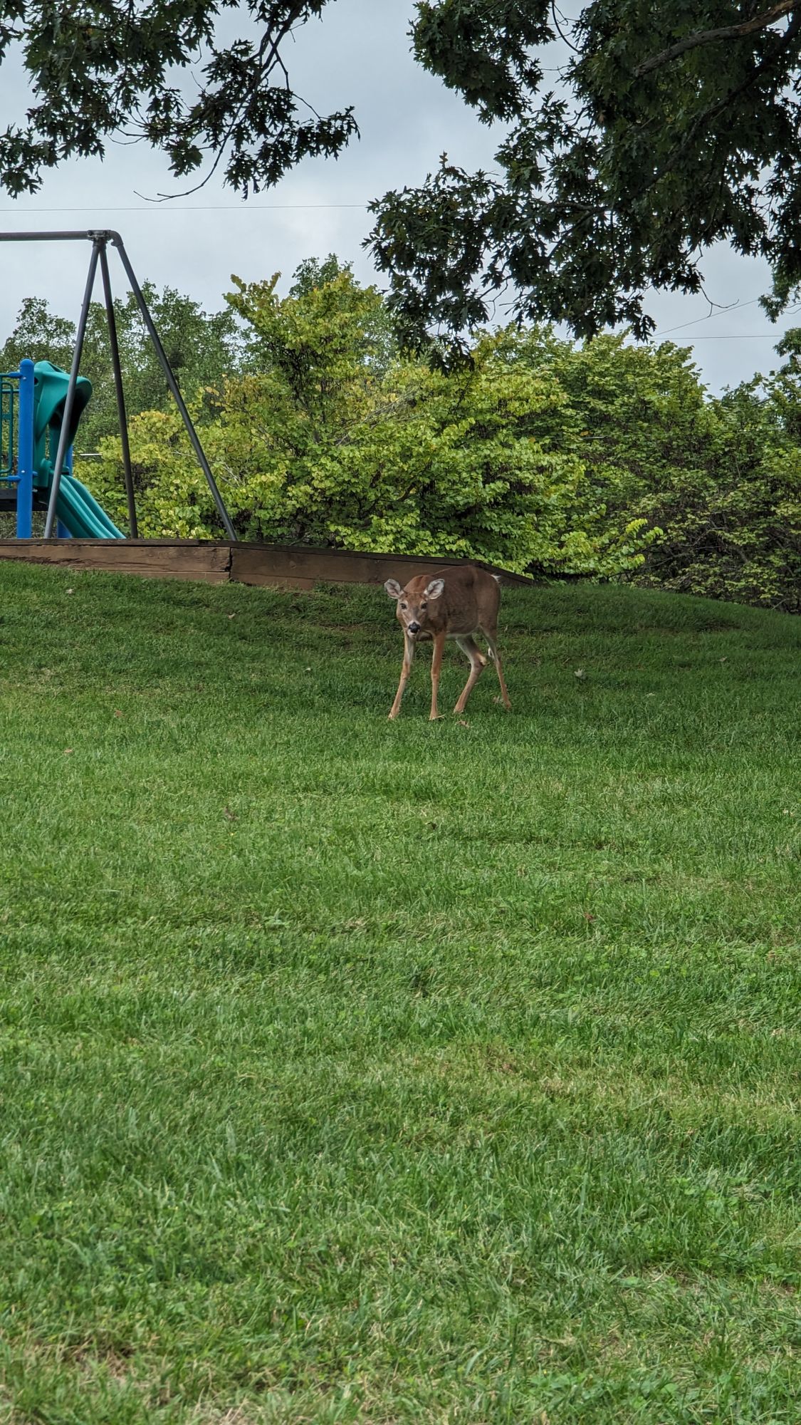 Nature appreciation moment for Simon