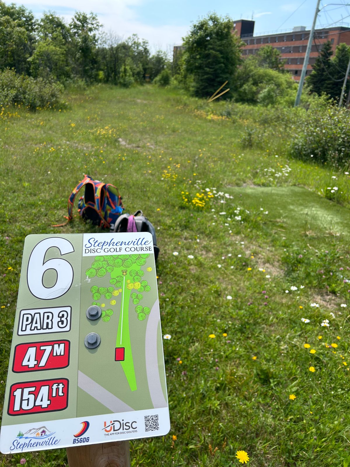 Hole 6 - short