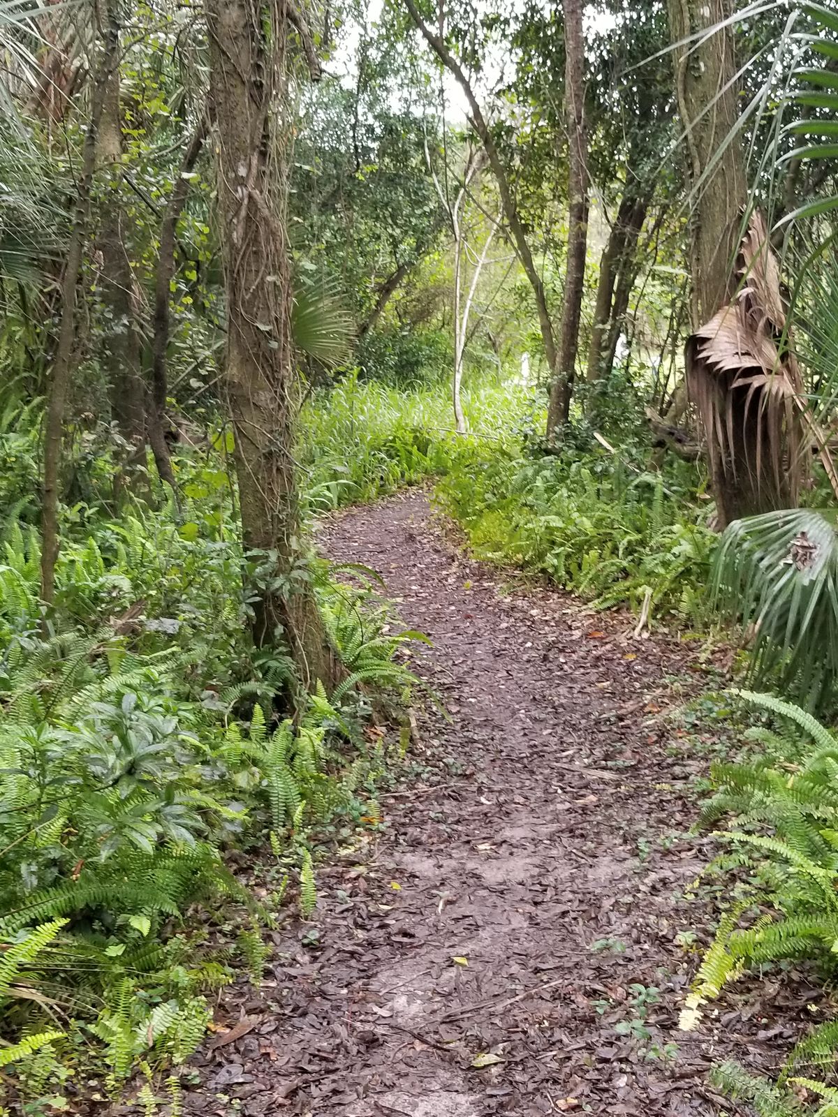 Gorgeous trails