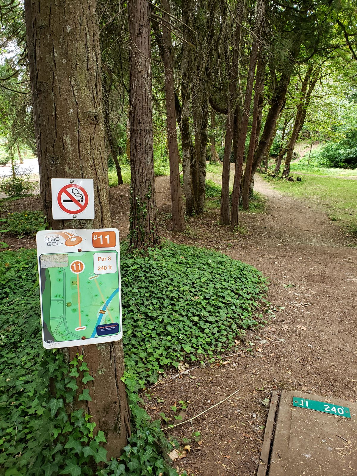 Hole 11