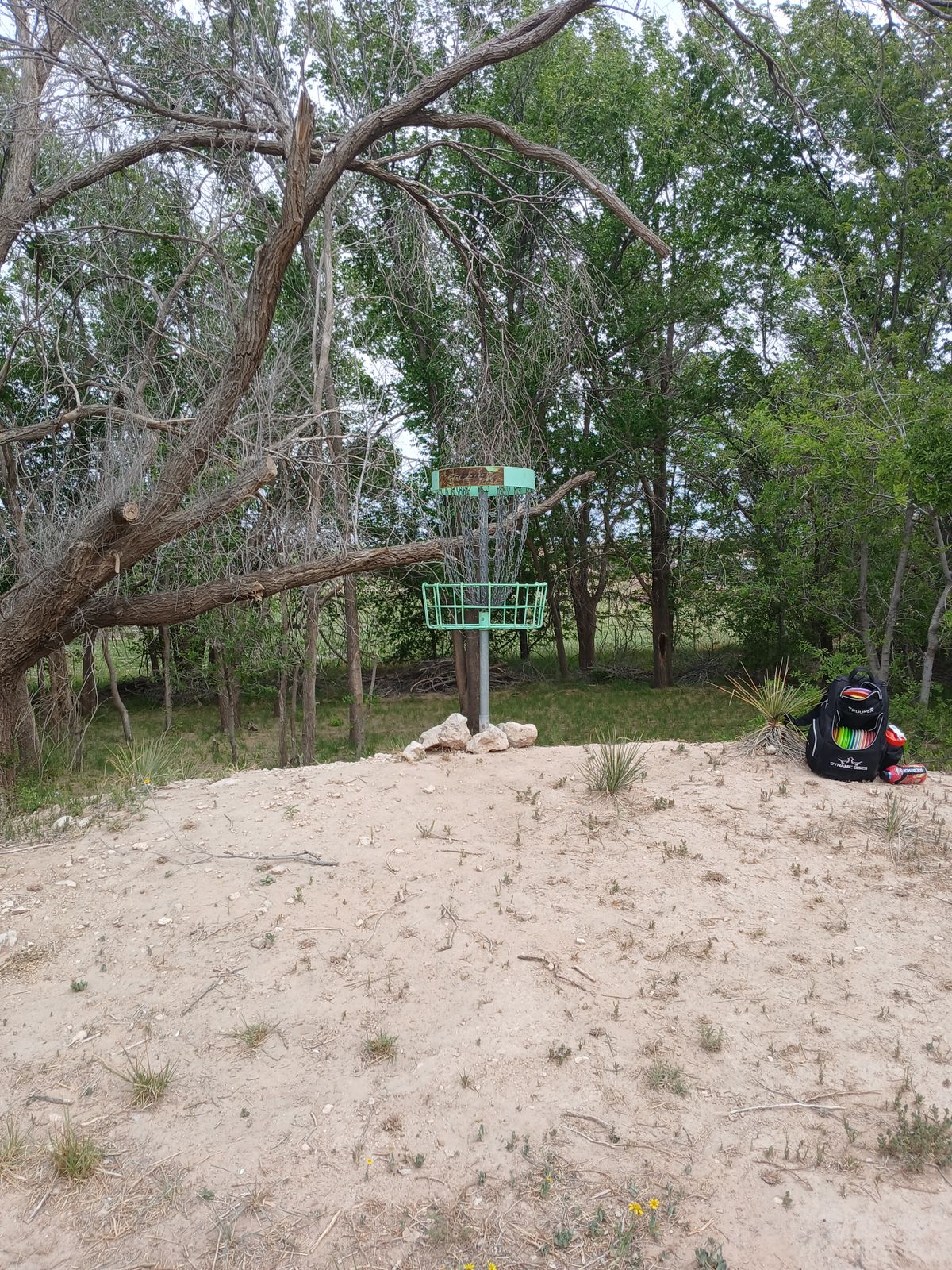 Hole 5 basket