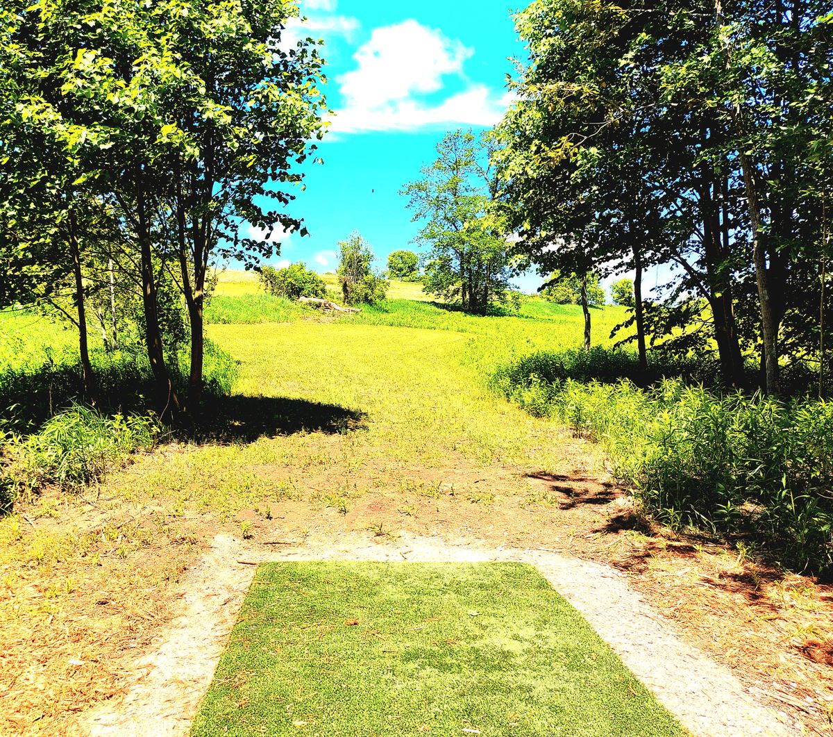 Hole eight. 🌲🌳🌲🌳🌲