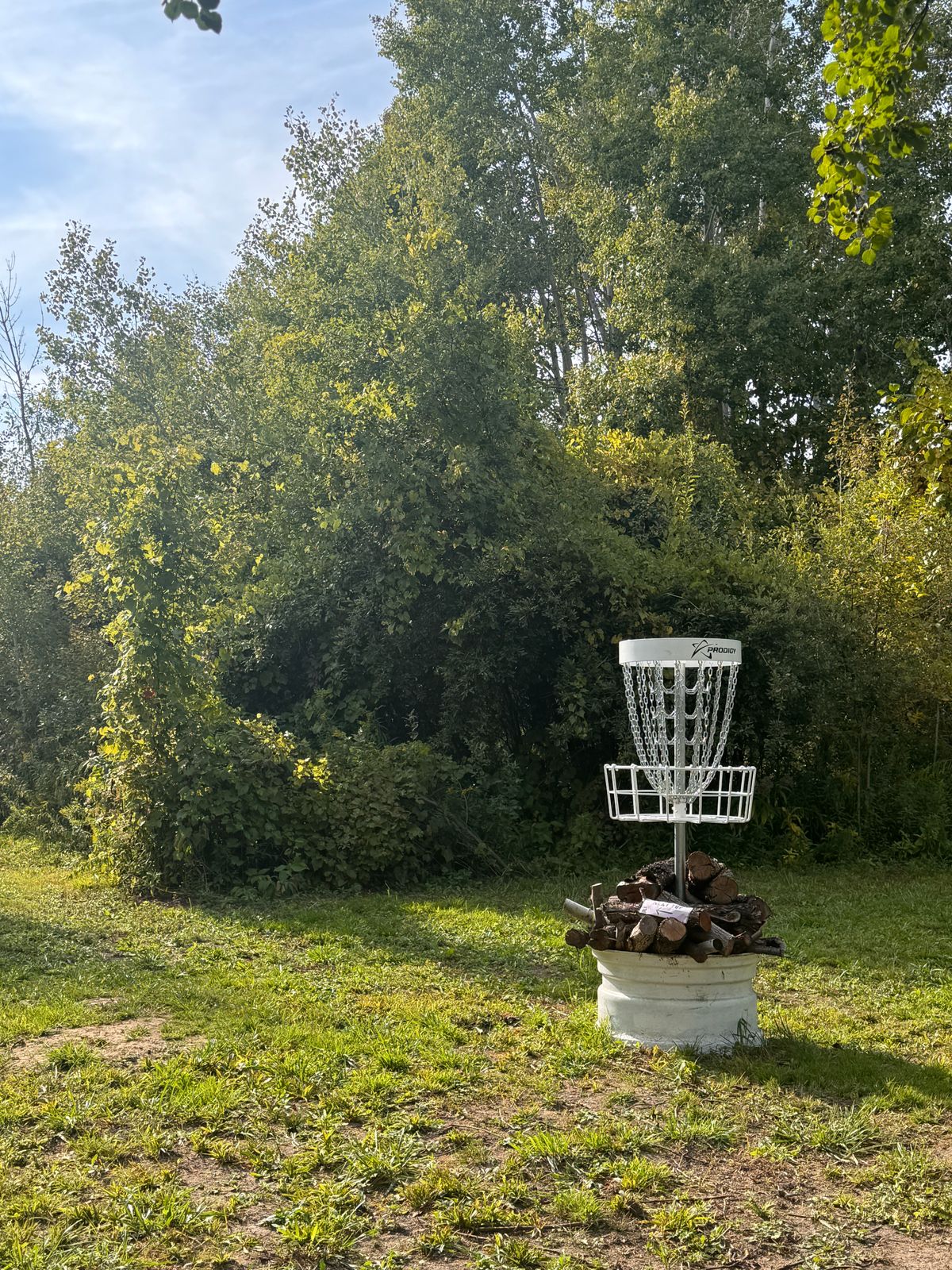 Hole 8 basket