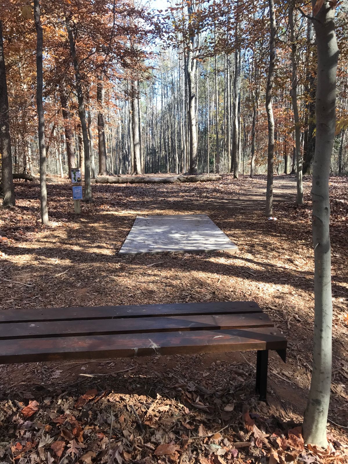 Hole 6 tee