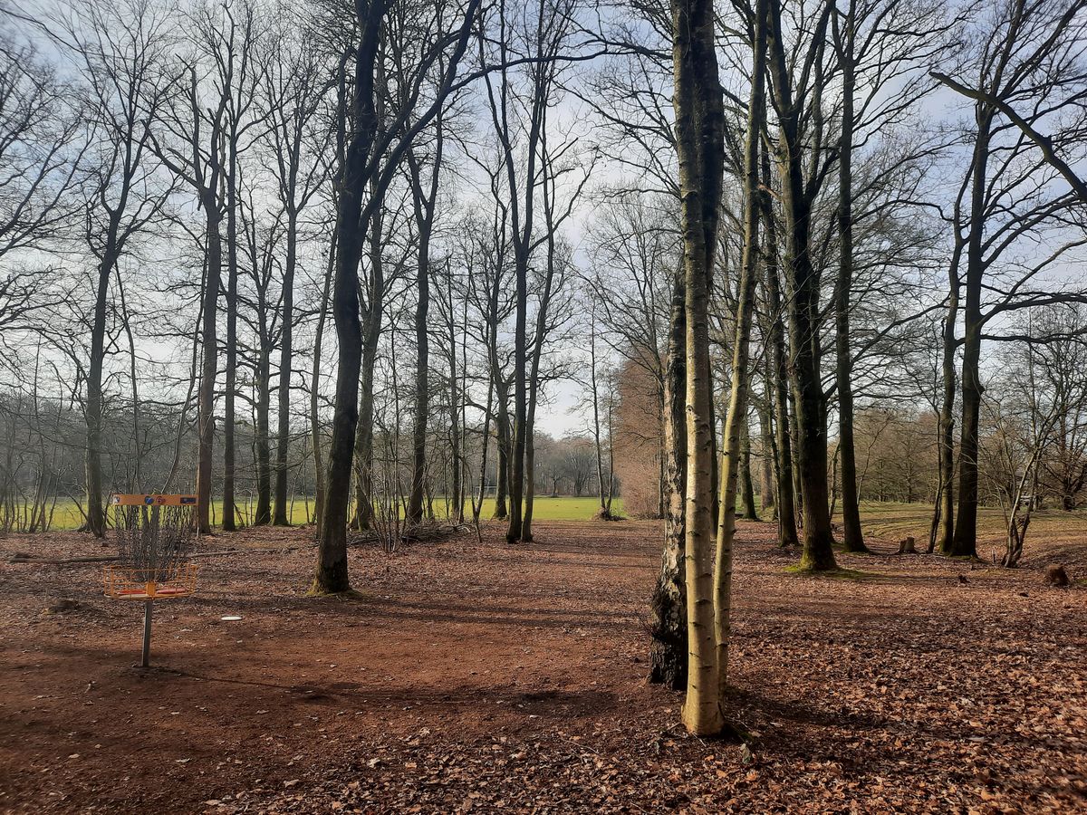Hole 6 red, 7 blue in springtime