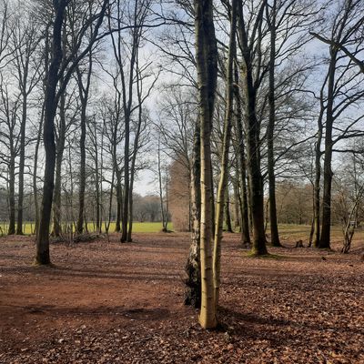 Hole 6 red, 7 blue in springtime
