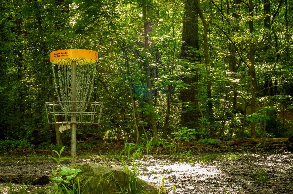 Hole 5 basket