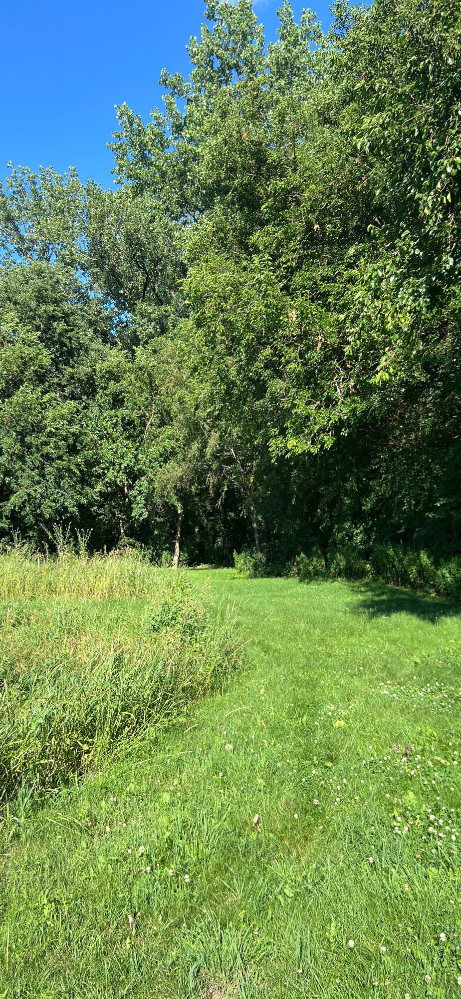 Hole 2 - June 2024