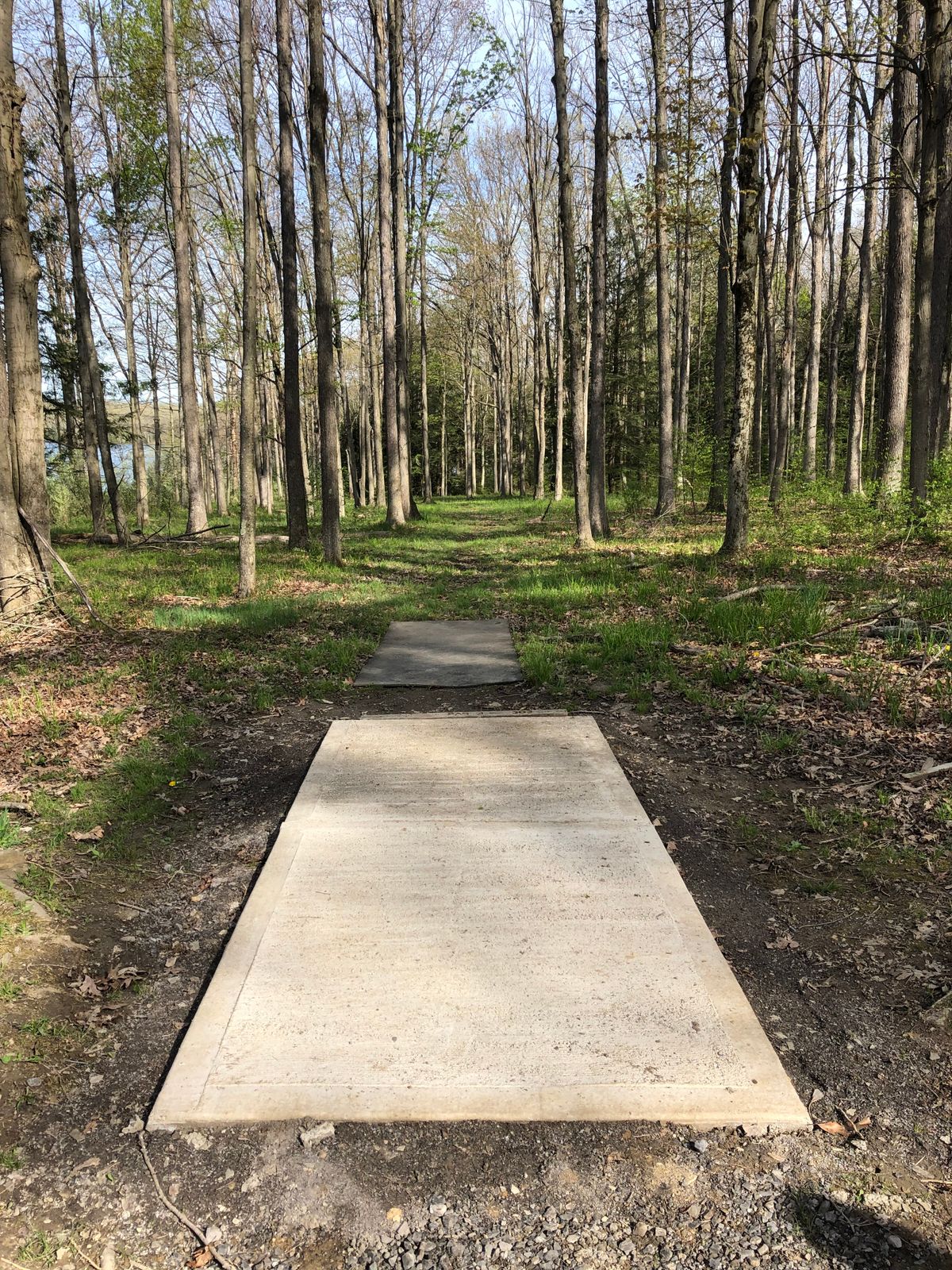 New hole 2 white tee
Par 3