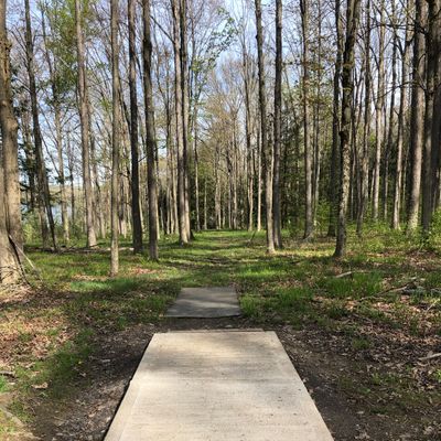 New hole 2 white tee
Par 3