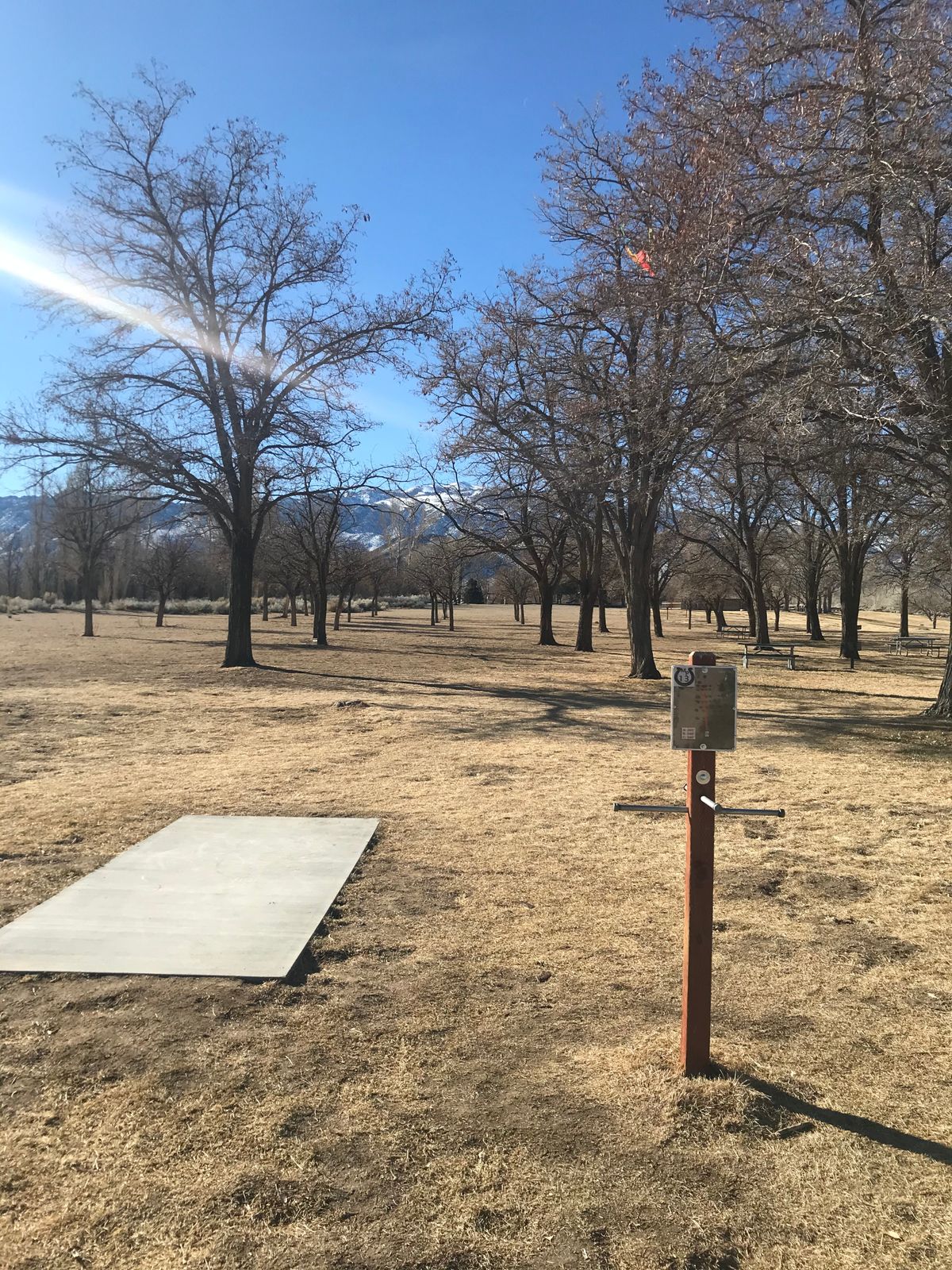 Tee pad 13