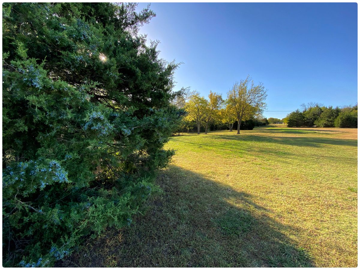 #14 midway next to Big Cedar looking towards basket