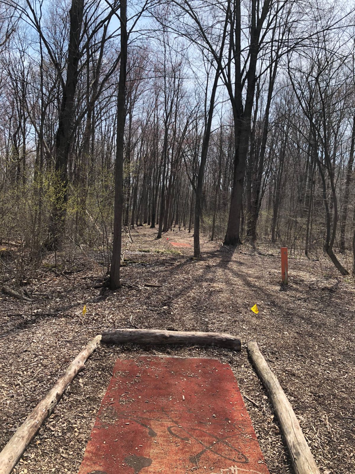 Hole 3 long tee