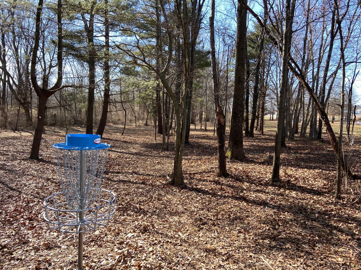 Hole 11 basket to tee