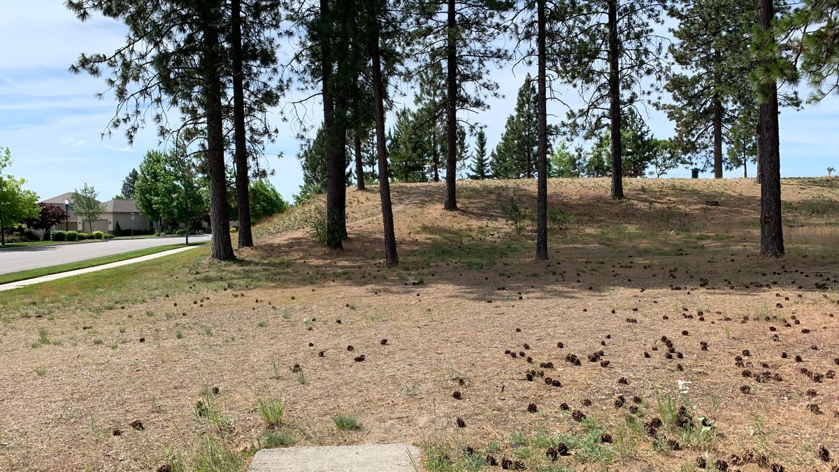 Hole 4