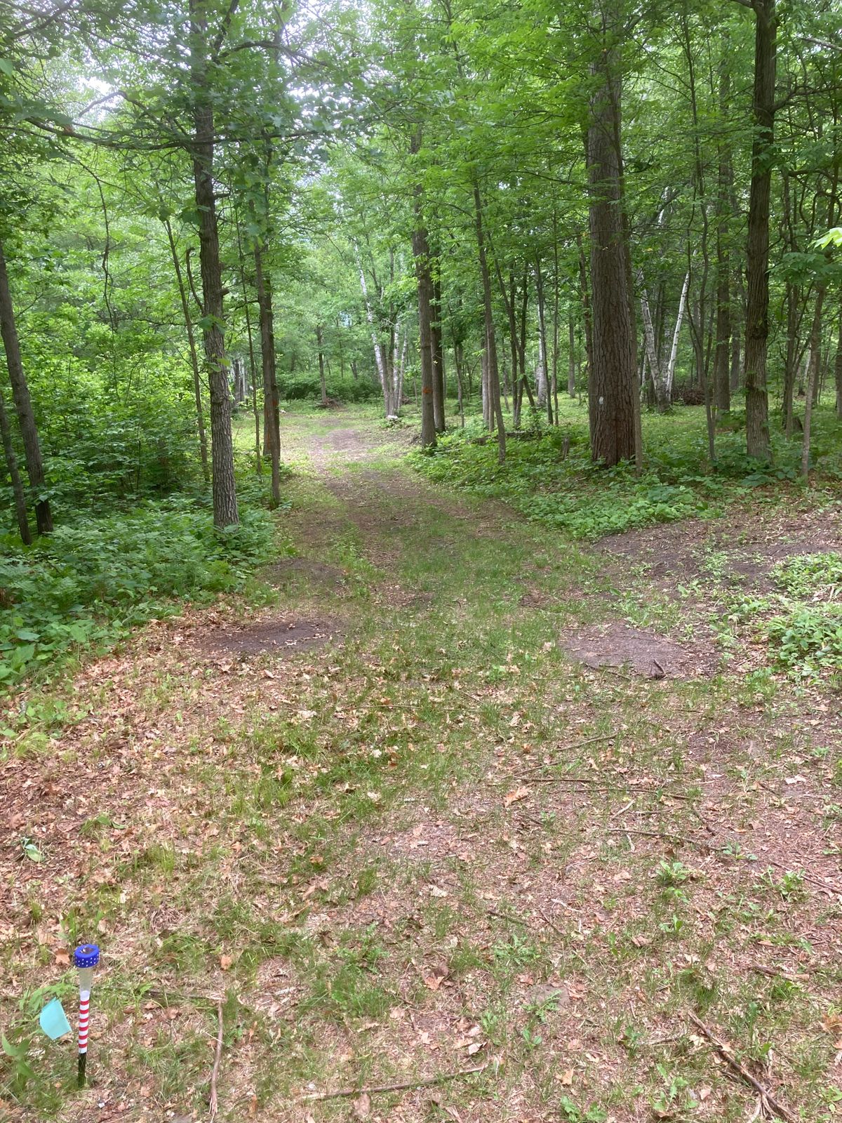Holes 7 and 9 fairway