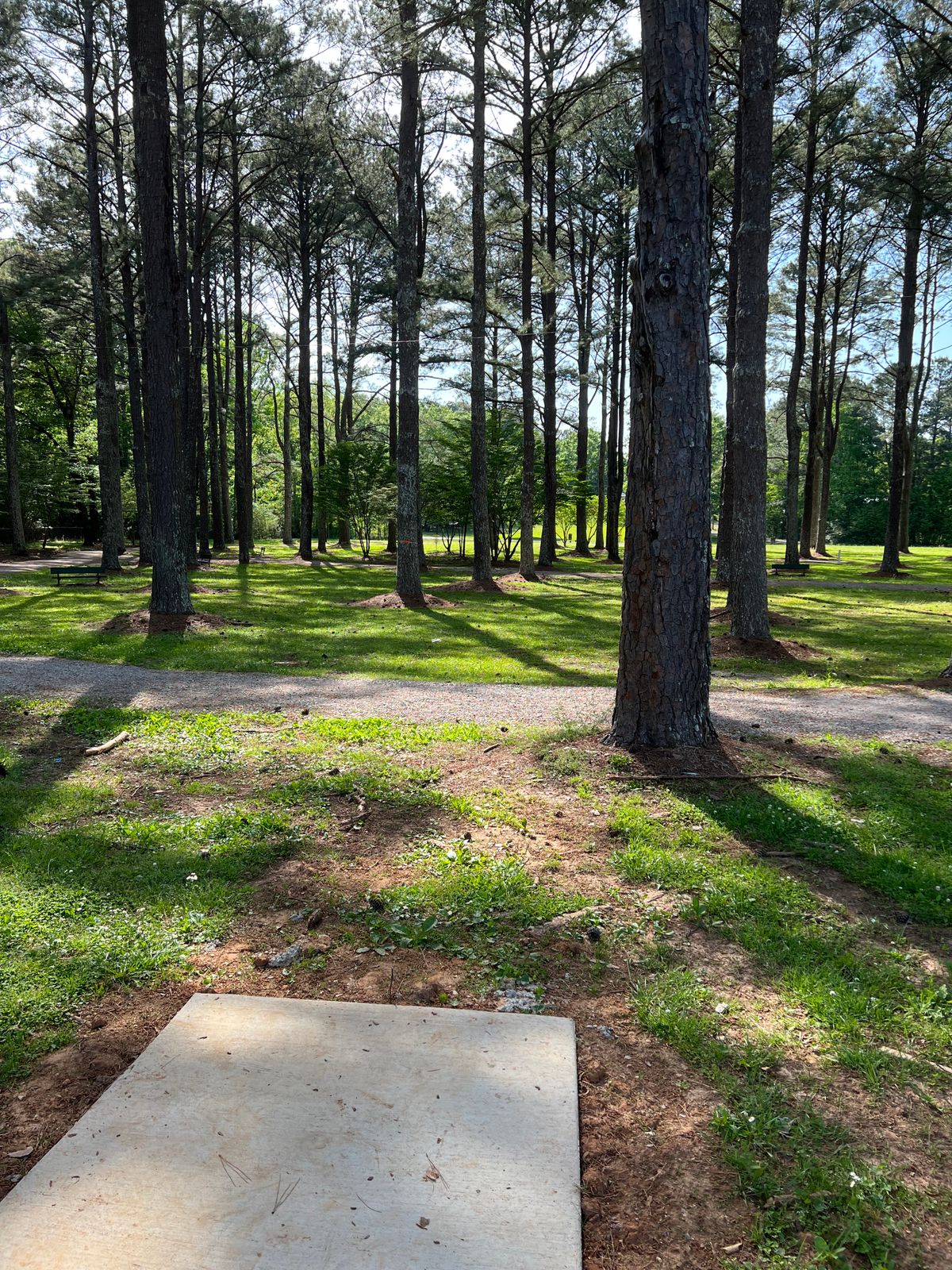 Hole 2 Tee