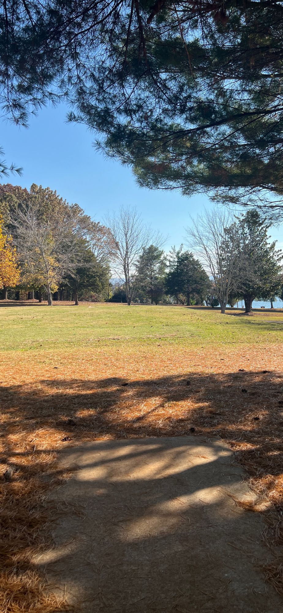 Hole 13