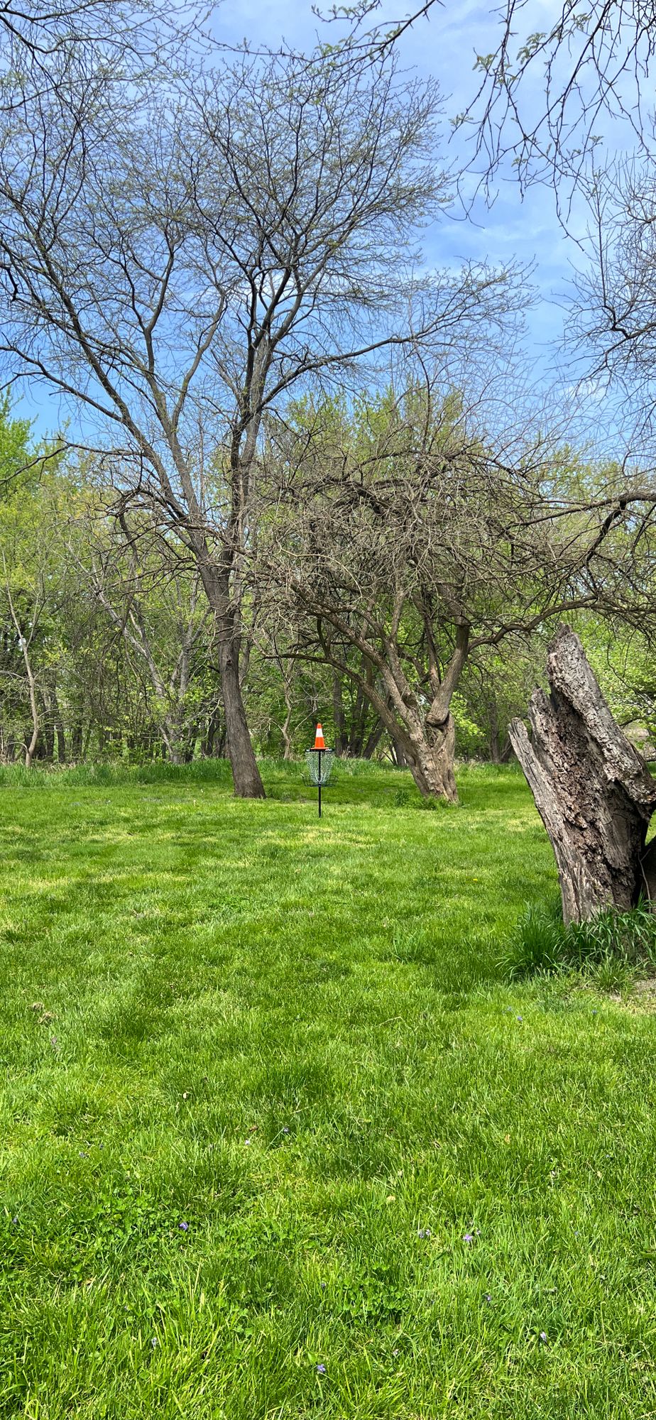 Hole 6