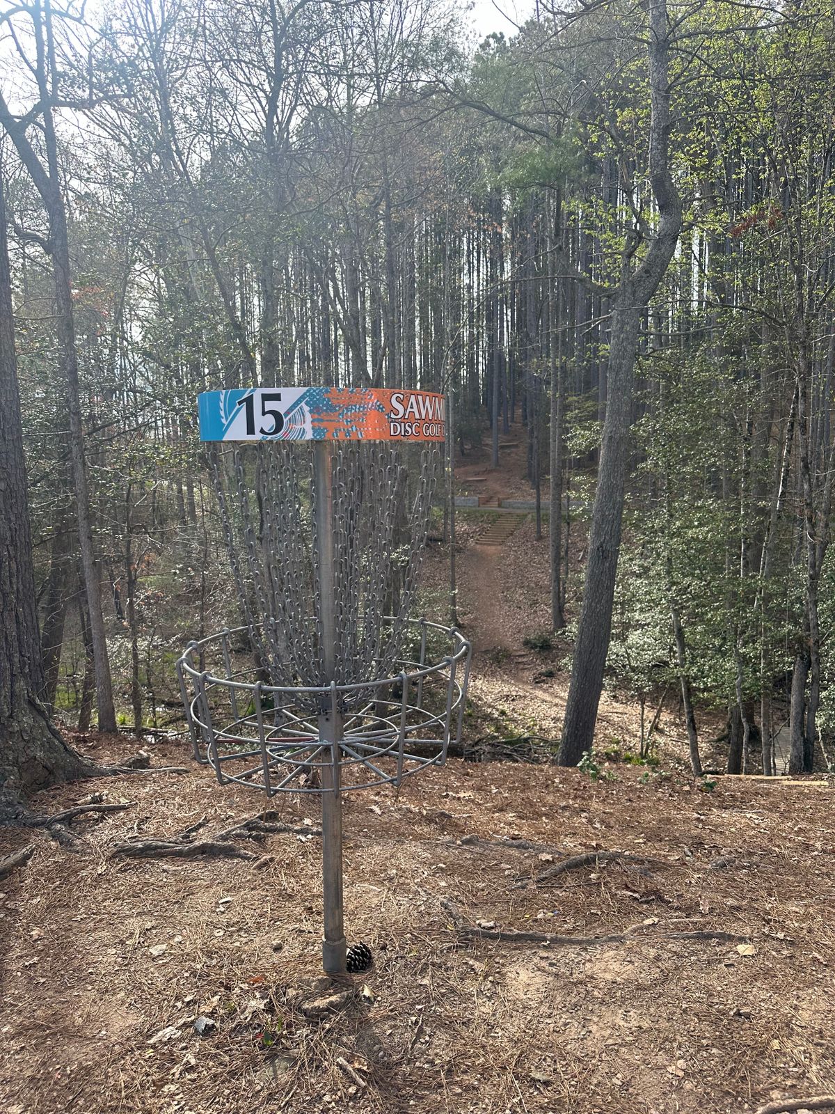 Hole 15 basket looking back down the fairway