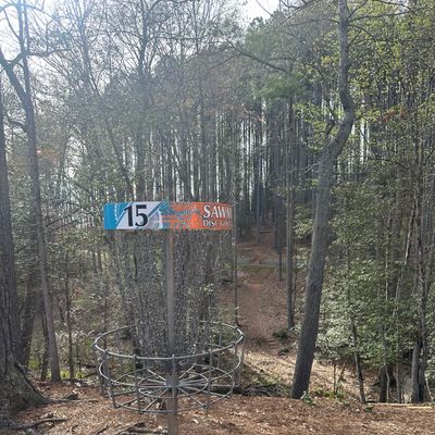 Hole 15 basket looking back down the fairway