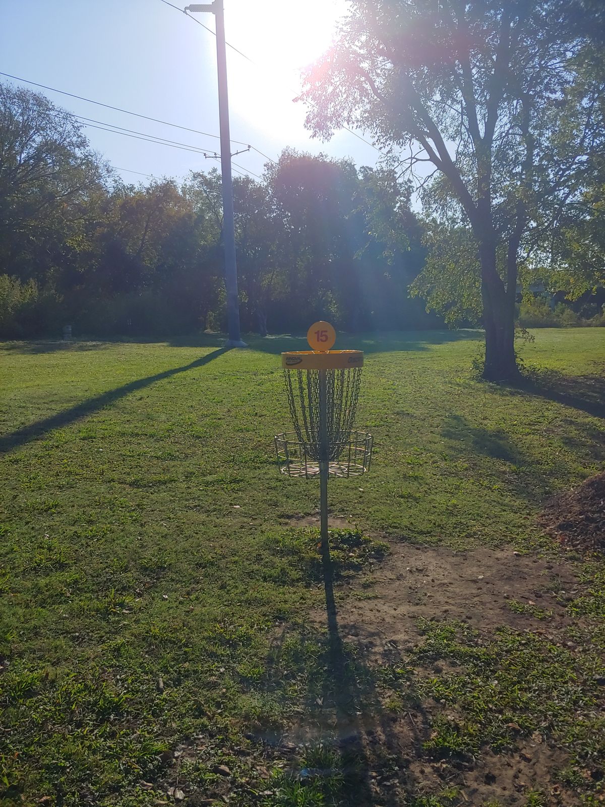 Hole 15 basket.