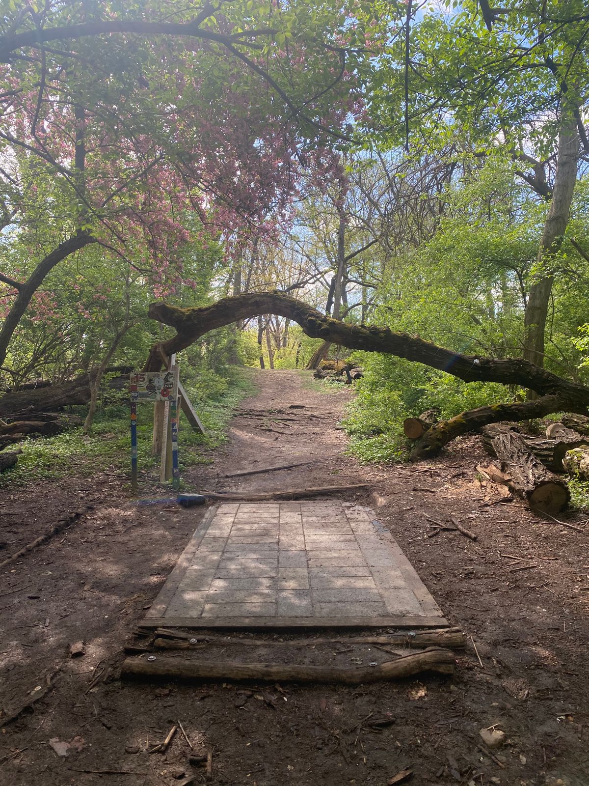 Hole 15 Blue
