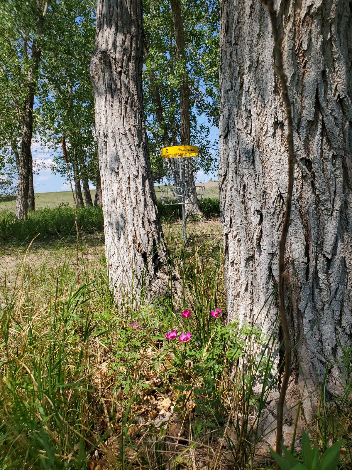 Hole 9, Life Putt.