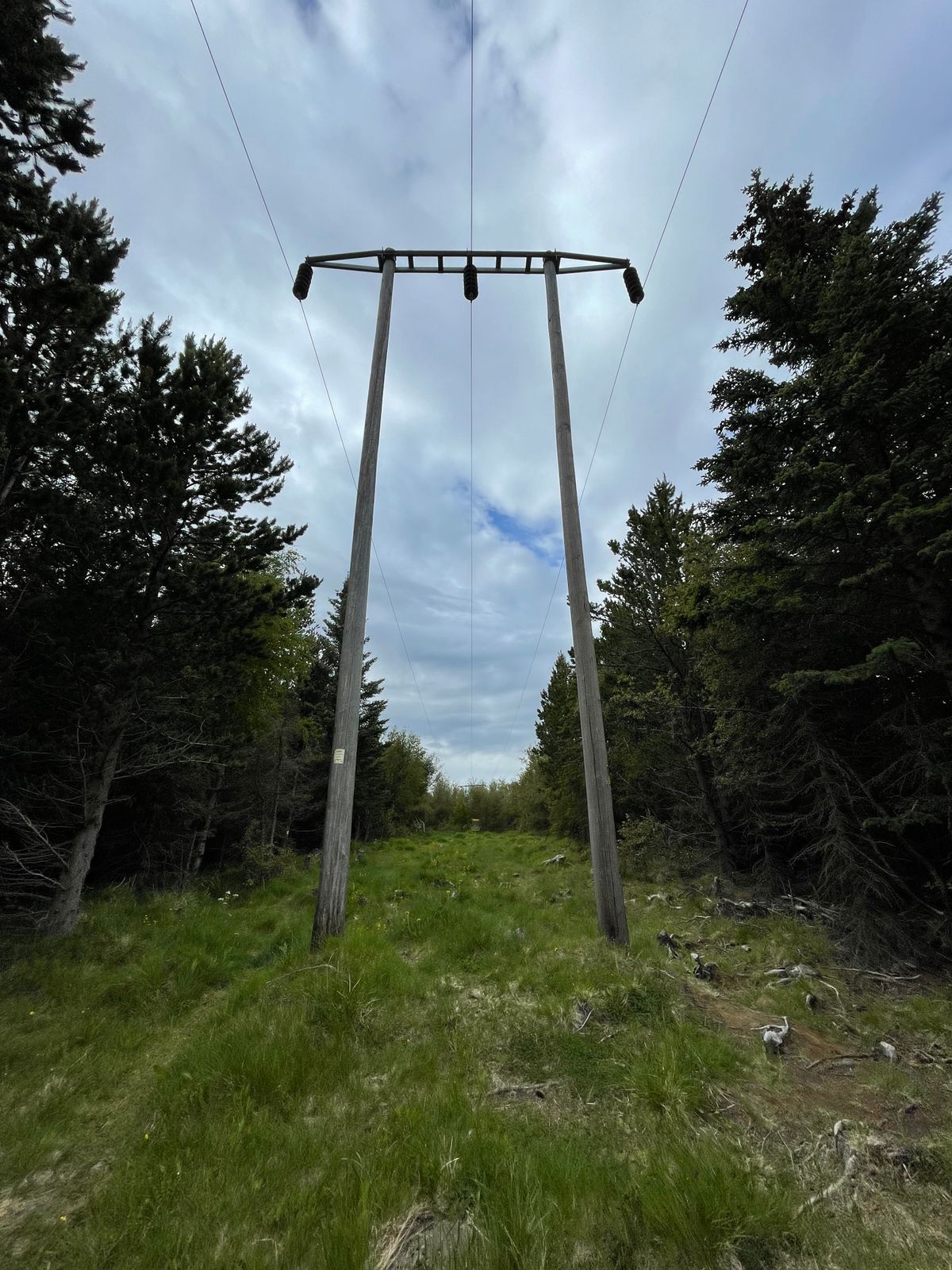 Basket between the poles