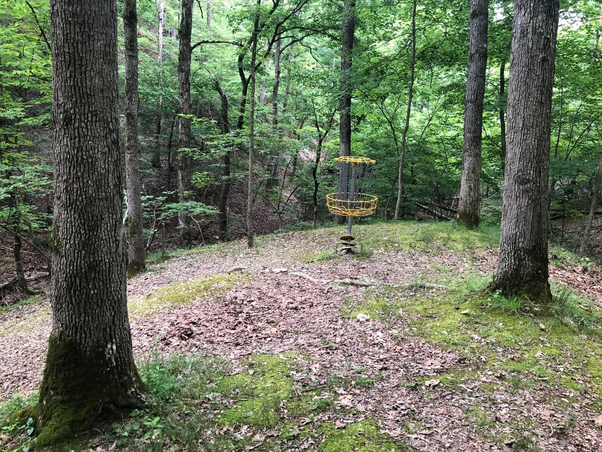Hole 6 Green