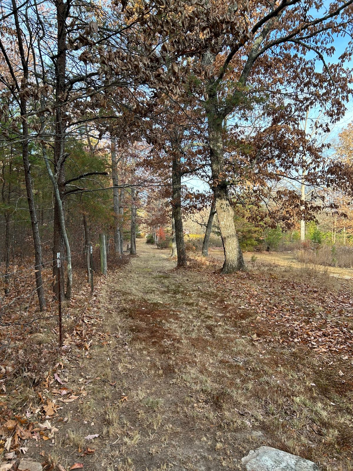 Hole 17 - fences are all OB. Challenging!