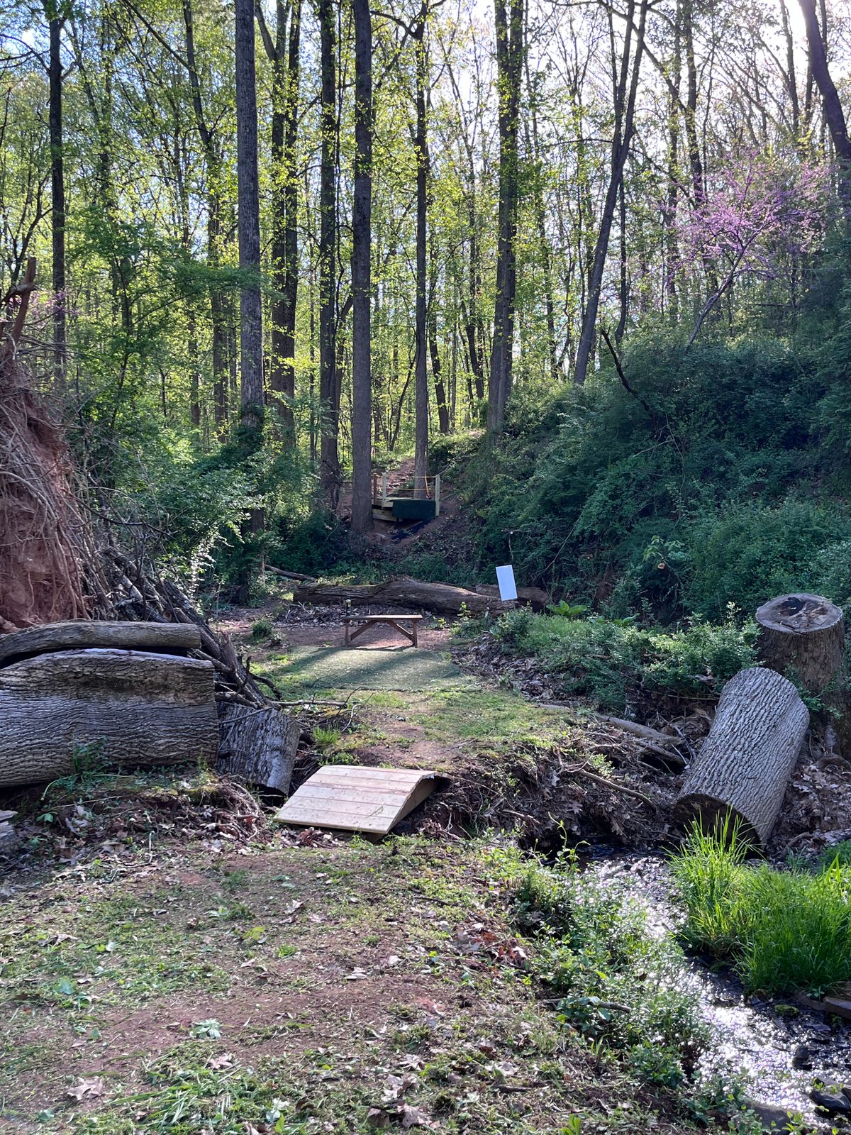 Hole 5 looking back