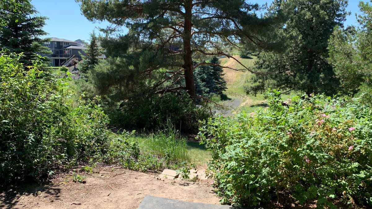 Hole 15