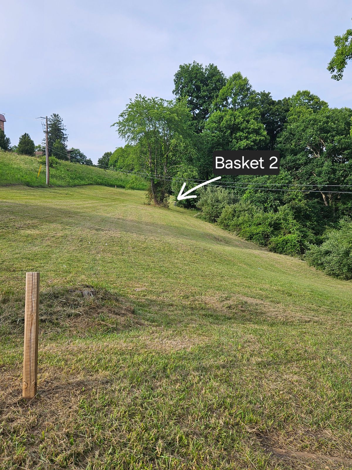 Basket 2