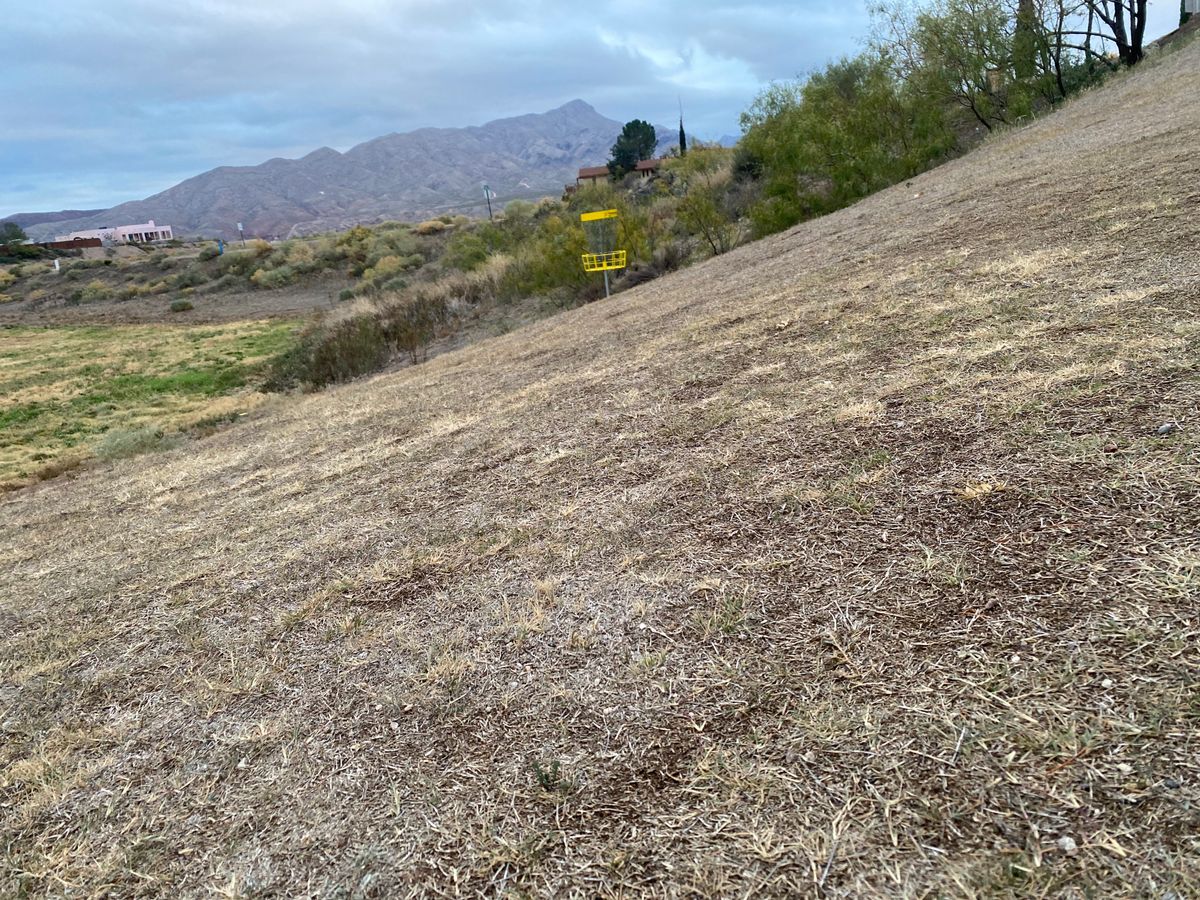 Hole 16 on a sloped green.