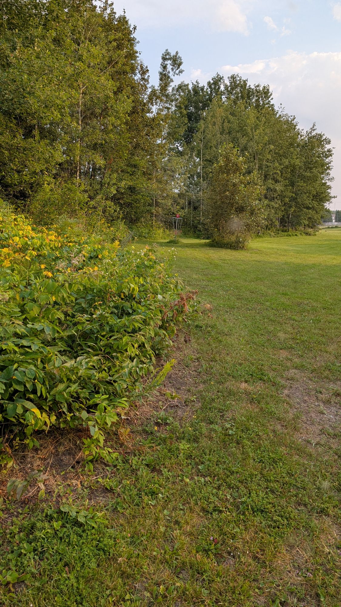 Hole 5 (looking from Hole 8 teepad)