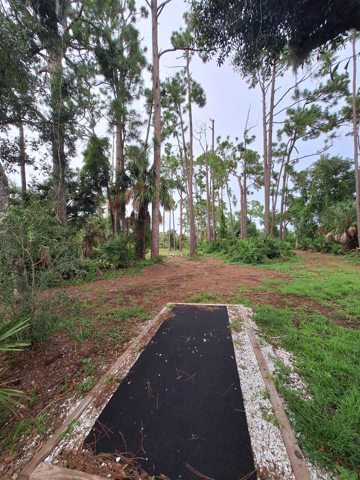 Hole 4 tee pad