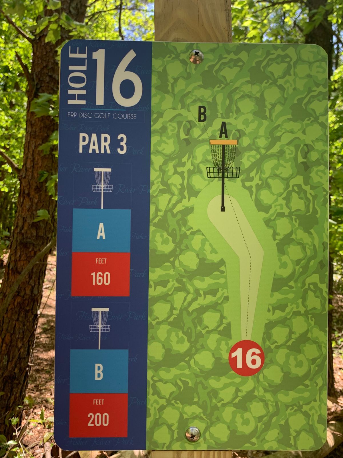 #16