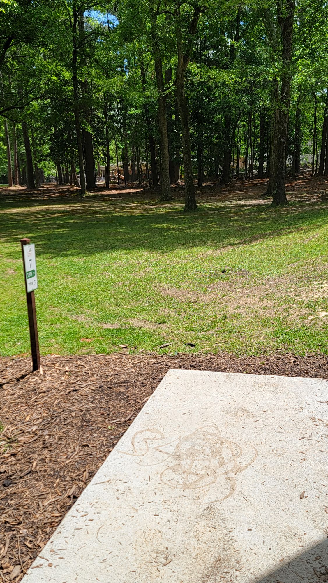 Hole 7