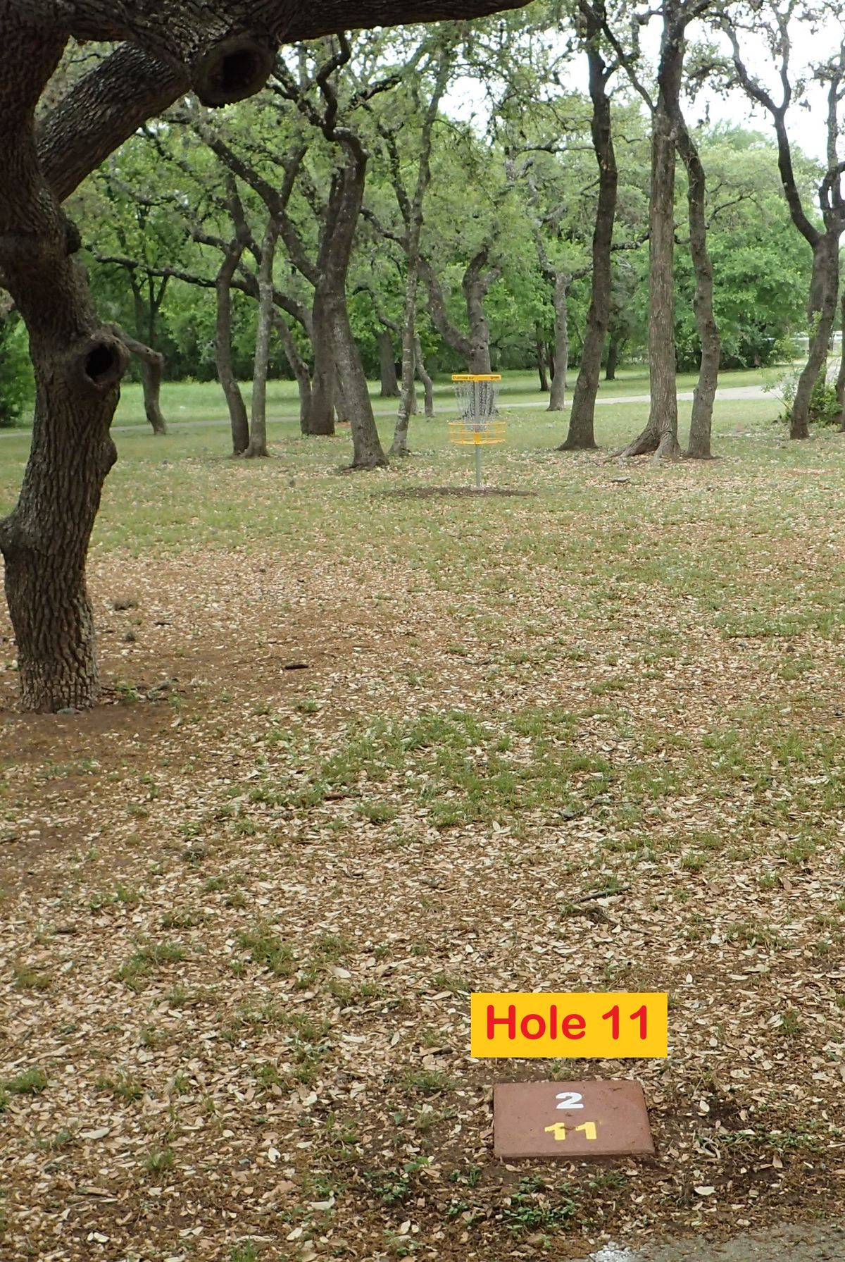 Hole 11