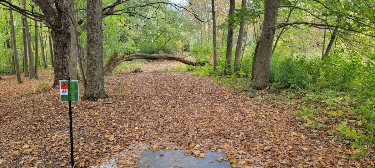 Hole 3 tee. Over or under is up to you.