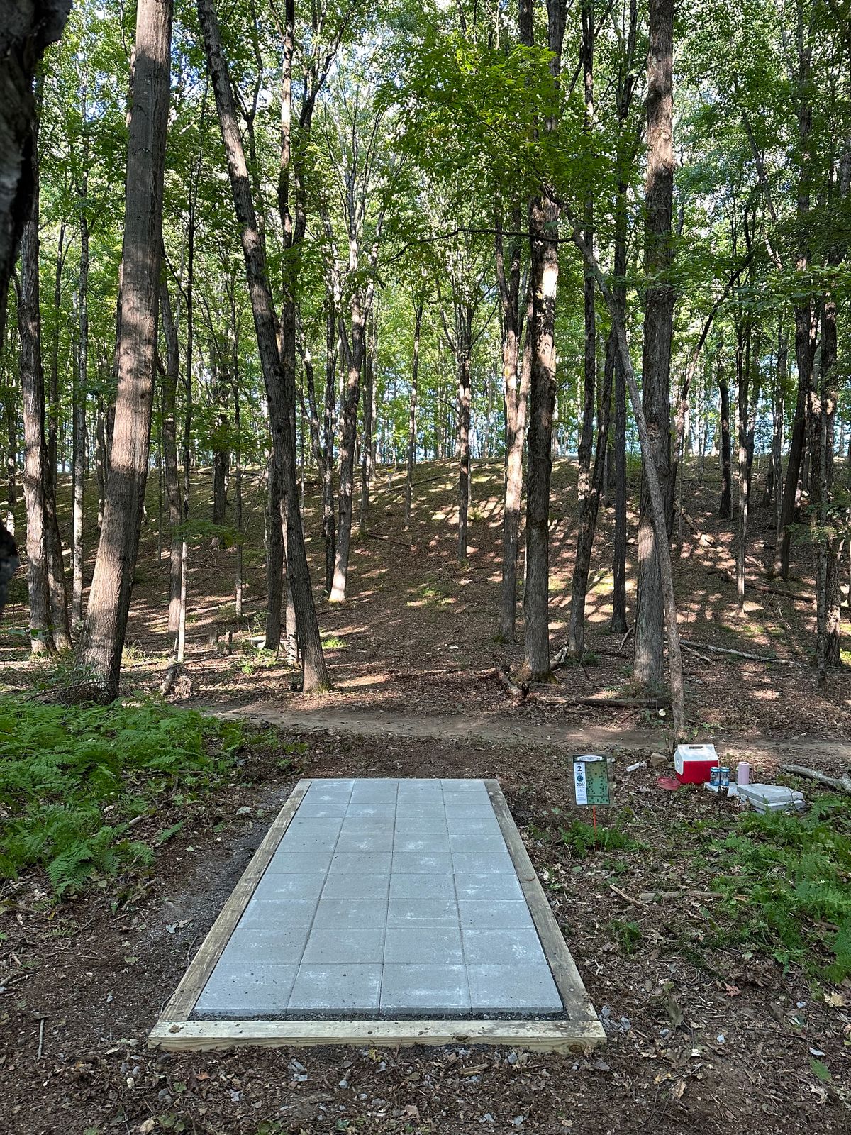 Hole 6
