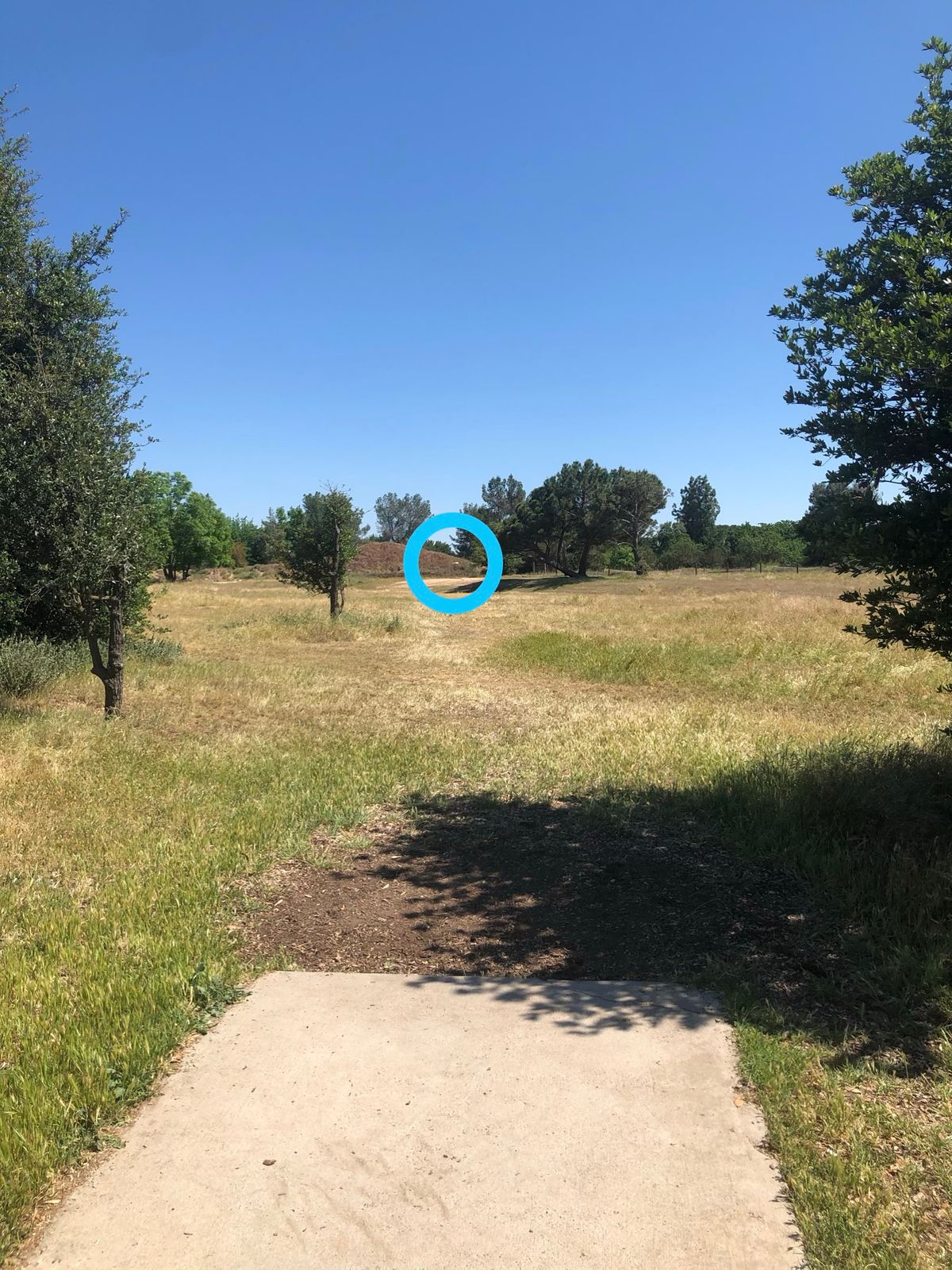 Hole 14 tee to basket