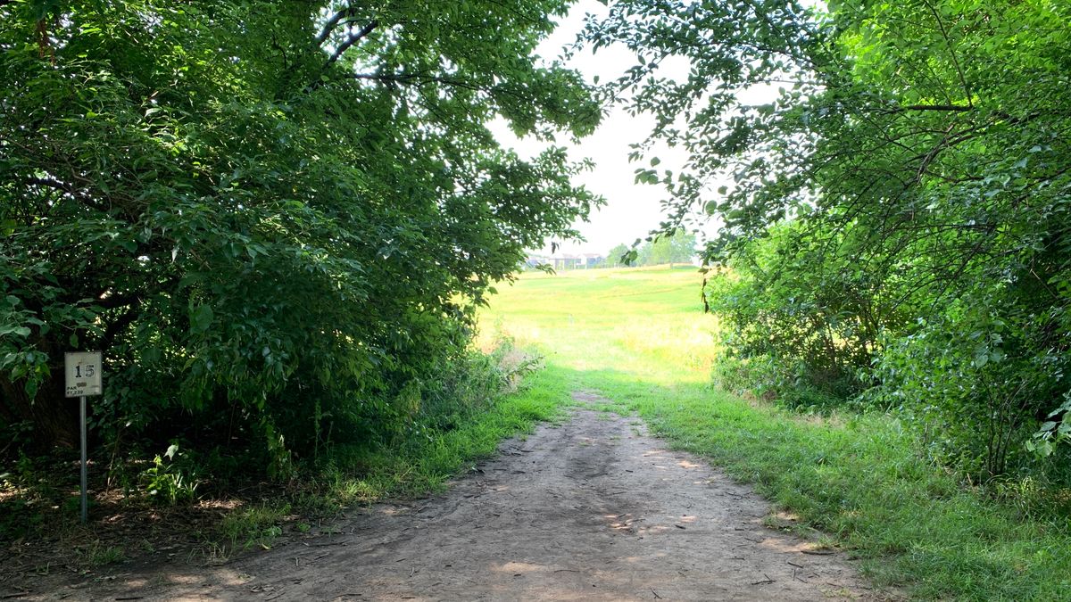 Hole 15