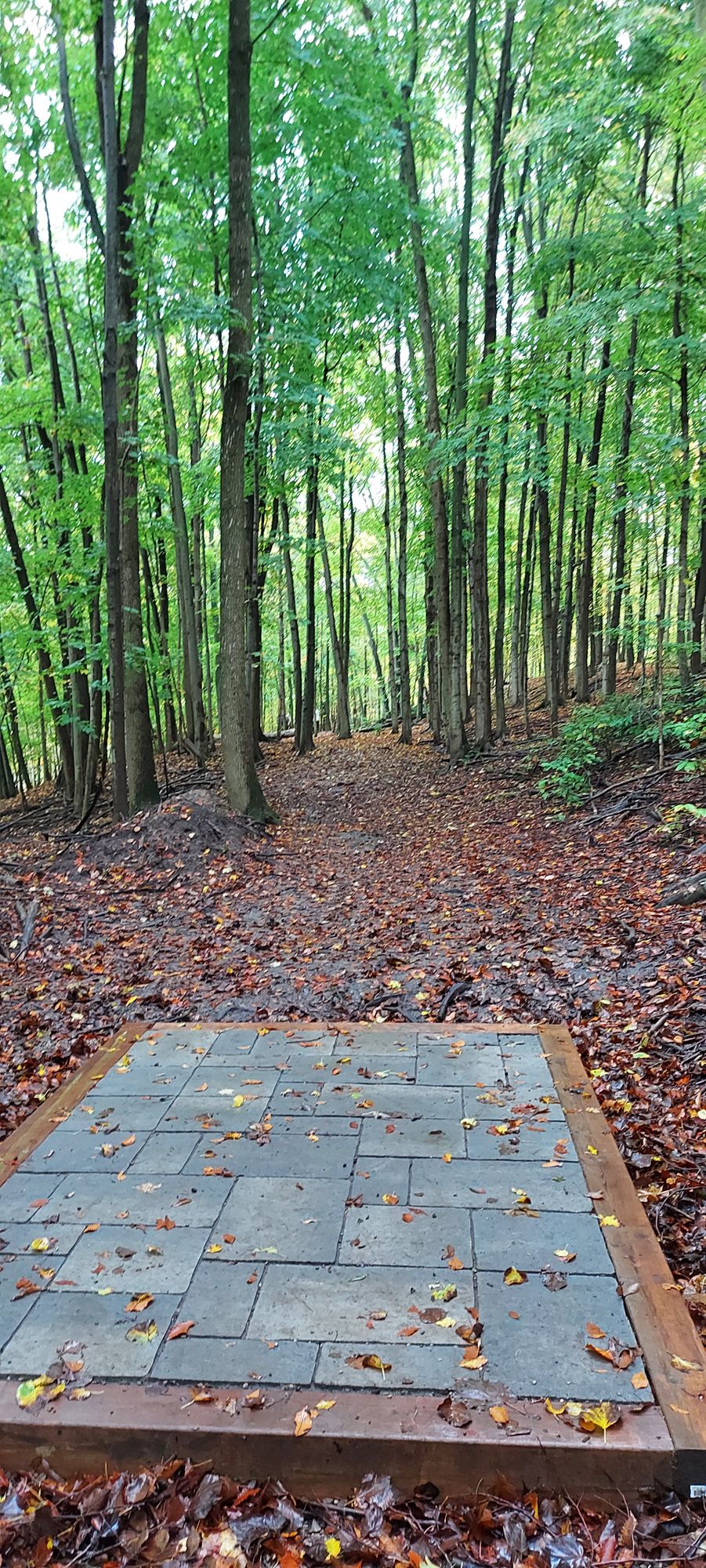 Tee pad 27.🍁🪵🍁🪵