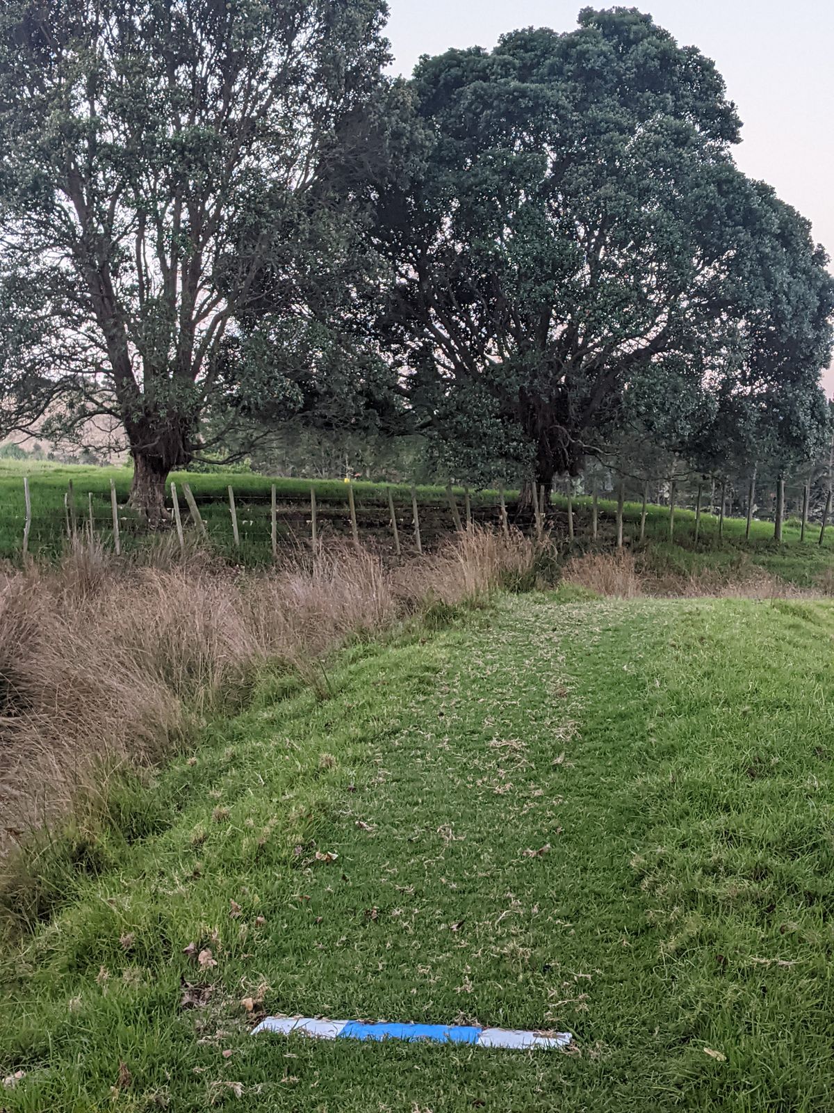 Hole 5 is a blind hole, throw over the gate or in the gap between the trees.